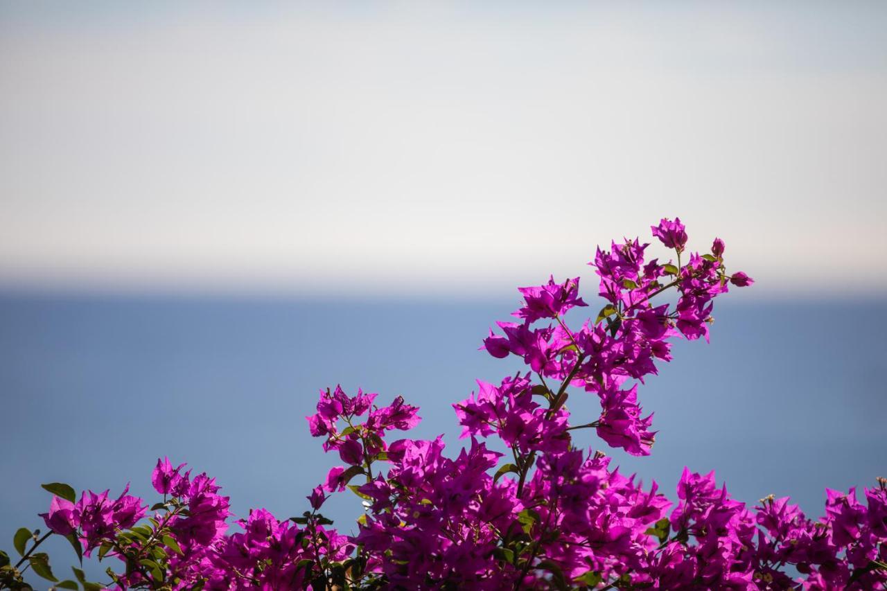 La Sterlizia Di Santa Croce Hotel Alassio Luaran gambar